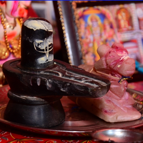 SHASHANK SHEKHAR RASTOGI  Portfolio