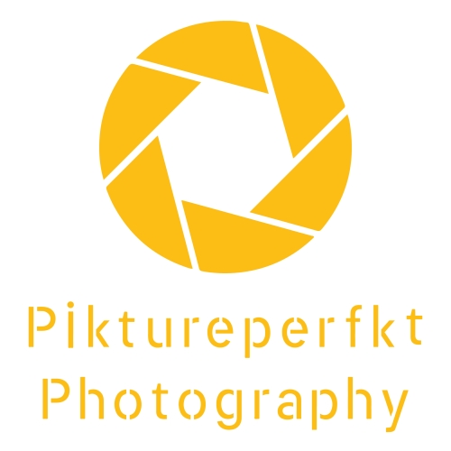 ALANKAR SINGH Portfolio